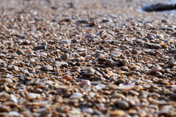 Closeup, side view of the seashells and pebbles on a beach.