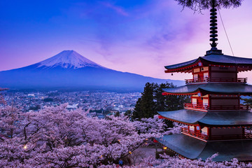  満開の桜と富士山 新倉山浅間公園の夜景