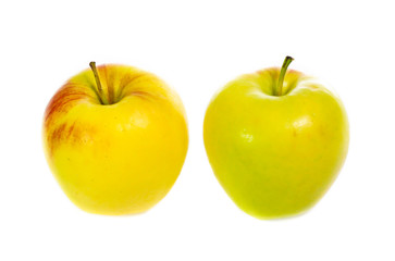 yellow apples isolated