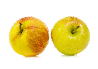 yellow apples isolated