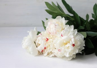 White peonies on white wooden background. Copy space. Wedding, gift card, valentine's day or mothers day background.