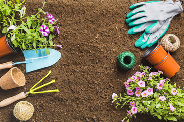 Top view of gardening tools on the ground