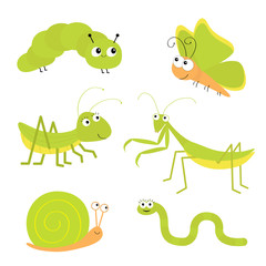 Green insect icon set. Mantis praying, grasshopper, butterfly, caterpillar, snail, worm. Cute cartoon kawaii funny character. isolated. Smiling face. Flat design. Baby clip art. White background.