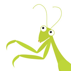 Mantis icon in the corner. Cute cartoon kawaii funny character. Green insect isolated. Praying mantid. Big eyes. Smiling face, legs. Flat design. Baby clip art. White background.