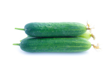 Cucumber  isolated on white background