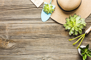 Top view of gardening tools on the wooden floor