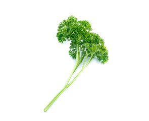 parsley isolated on white background