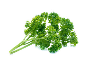 parsley isolated on white background
