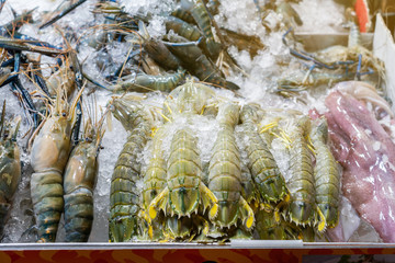 showcase of seafood in the sea market