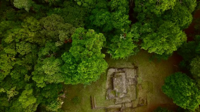 Peten jungle with the pyramids of Tikal towering above the tree canopy in Guatemala