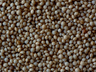 Close-up of Amaranth Seeds, Amaranthus, Food Background