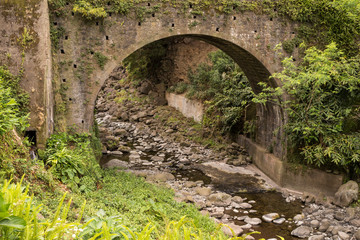 Bridge in the botanical garden