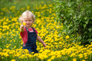 girl walking in a clearing among the flowers