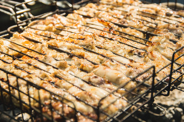 Shish kebab grilled in nature. Grilled meat on the grill. Picnic. Cook the meat on the grill.