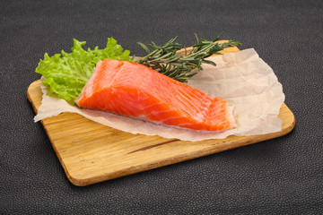 Piece of raw salmon