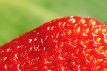 strawberry on a green background.  strawberry close up