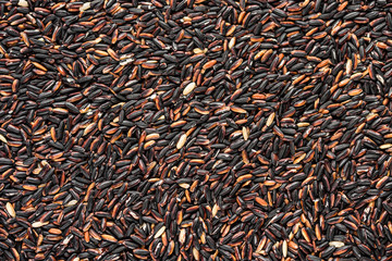 Food texture background of integral brown rice, top view