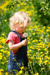 girl walking in a clearing among the flowers