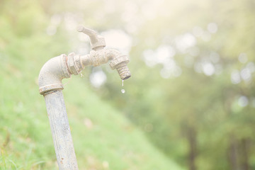 Water tap with drop in garden