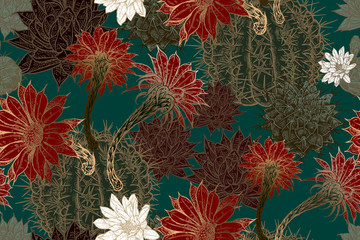 Fototapety  Kolorowy wzór z kwitnącymi kaktusami.