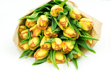 Fresh tulips in a paper bouquet.