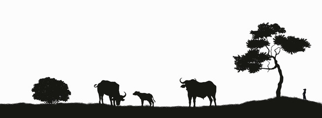 Black silhouette of african buffalo on white background. Isolated scene with bull family. Landscape with wild african animals. Scene of savannah wildlife. Travel poster of Africa