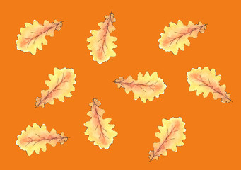 leaf watercolor autumn oak leaf pattern plant