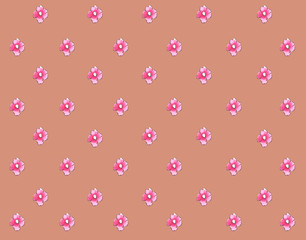 pink flowers watercolor little pink flower pretty background