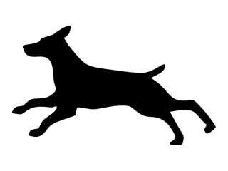 Shepherd run. Dog silhouette. Vector black icon isolated on white
