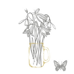 Bells and Snowdrops flowers. Bouquet of hand drawn flowers and herbs. Botanical plant illustration.