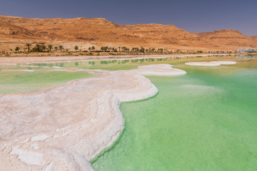 Salt formation in Ein Bokek hotel and resort district on the shore of the Dead Sea, near Neve...