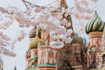 Saint Basil's Cathedral, a church in Red Square in Moscow Russia at spring