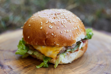 veggie, vegan burger with buckwheat, tomato, onion, vegan mayonnaise and spinach on a fresh bun with flax seeds and sesame, surrounded by spinach leaves, mushrooms, tomato, black pepper and spices.