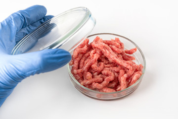 Minced meat in Petri dish in hands scientist. Chemical experiment. Laboratory science studies.