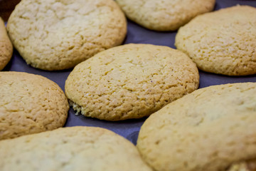 Freshly baked homemade oatmeal cookies freshly baked on a baking sheet on baking paper.