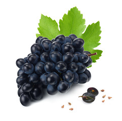 blue grapes berries with leaves isolated on white.