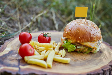 Home made hamburger with beef, onion, tomato, lettuce and cheese. Fresh burger closeup on wooden rustic table with potato fries and chips.