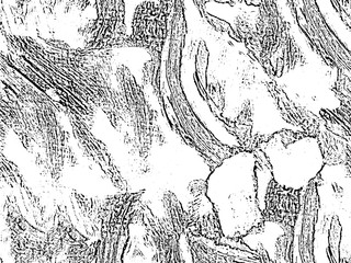 Grunge black and white abstract texture.