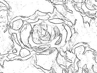 Grunge black and white abstract texture.