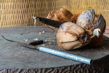 Coconuts laying in coconut candy factory - Mekong River/Vietnam