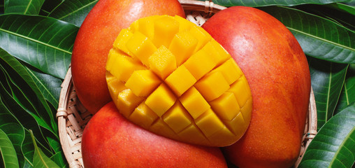 Fresh juicy beautiful diced mango fruit in bamboo basket on green leaves background, top view, close up, macro, copy space. Tropical summer concept.