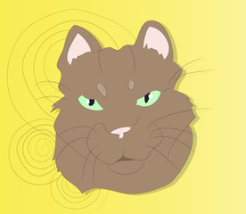 vector illustration of a portrait of a cat on a colored background