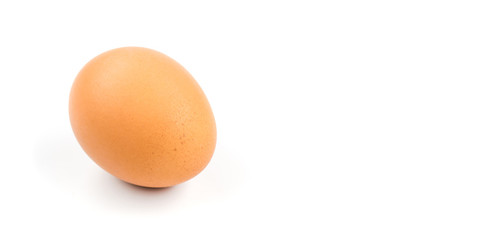 Brown egg Isolated on white background. Horizontal banner template.