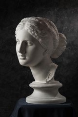 Gypsum copy of ancient statue Venus head on a dark textured background. Plaster sculpture woman...