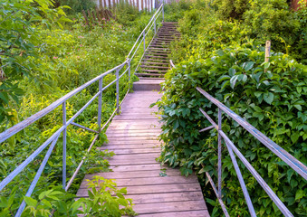 Old wooden bridge among bushes with green leaves, summer landscape