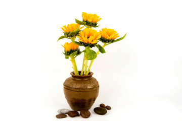 Sunflowers in a vase on a white background.