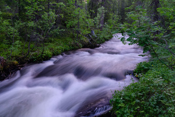 Obraz premium The rapids of the northern river in the night taiga
