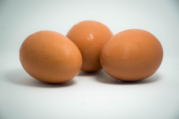 eggs isolated on white background