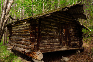 Saami hut in the northern forest