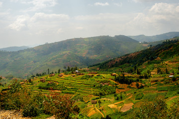 ルワンダの棚田